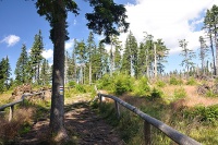 Sumava 4095